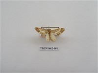 藏品(尺蠖蛾科)的圖片